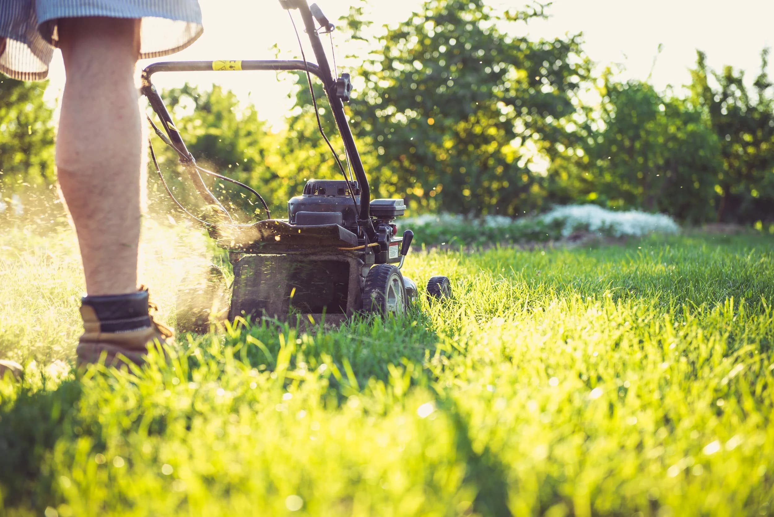 Lawn mower cutting grass outdoors