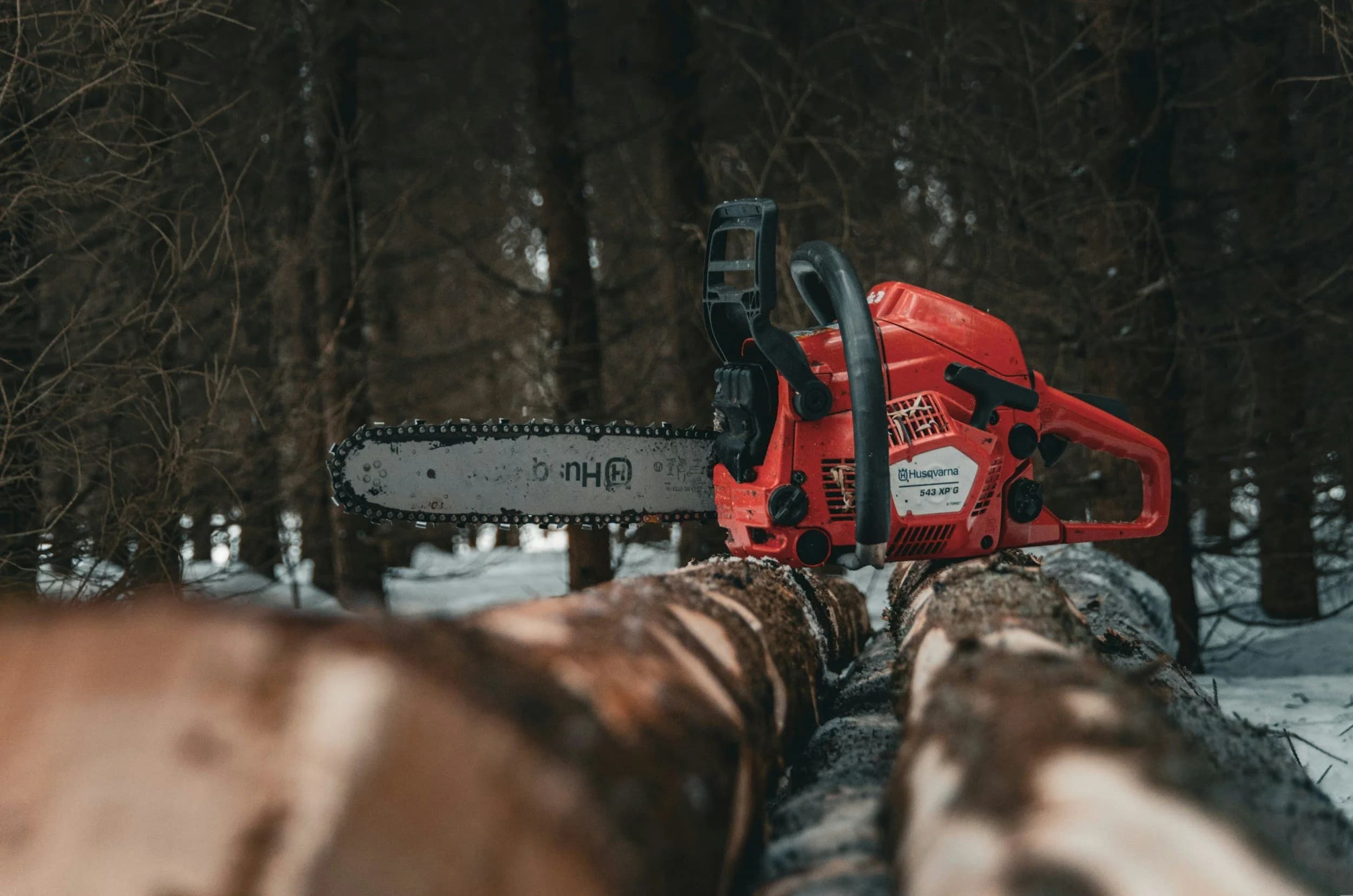 Chainsaw resting on timber