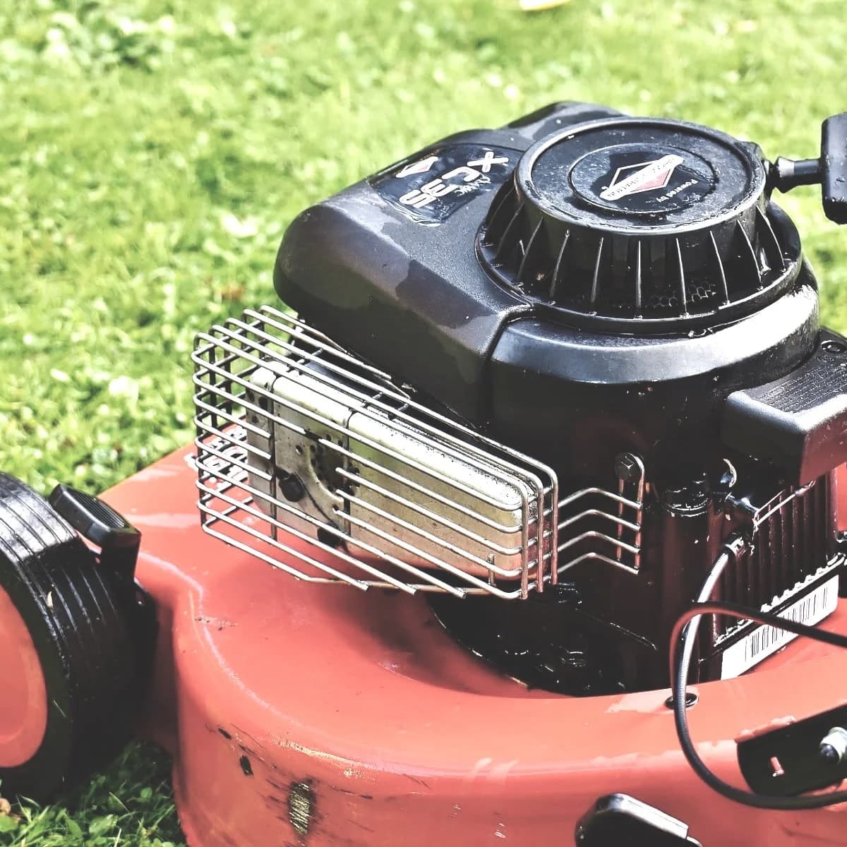Push mower engine